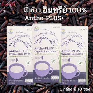 น้ำข้าวอินทรีย์ Antho-PLUS+ Organic Rice Drink (10*15g.)