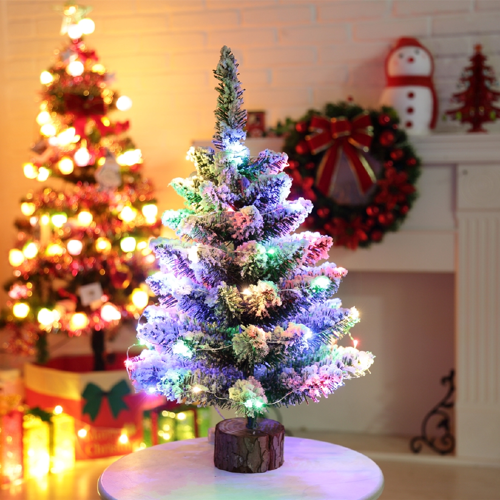 small christmas tree with lights