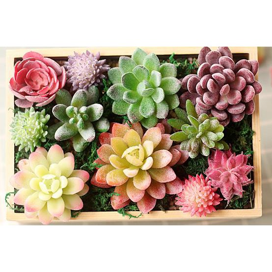 ประดิษฐ์ Succulents กระถางพืชปลอมสารพันจําลองกระบองเพชรกระบองเพชรกระบองเพชรวัสดุ DIY ตกแต่งพลาสติกสีเขียว Leaf Faux Aloe