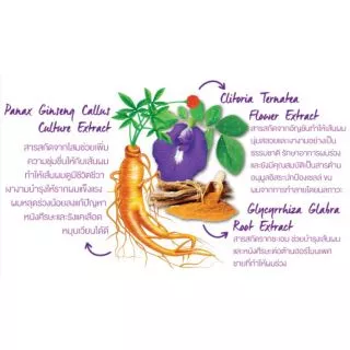 เมจิ บัตเตอร์ฟลาย พี เพอร์เฟค บราวน์ แฮร์ เซรั่ม (ยกกล่อง)