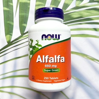 อัลฟัลฟา Alfalfa 650 mg 250 Tablets (Now Foods®) อุดมไปด้วยวิตามิน แร่ธาตุ และคลอโรฟิลล์ จากพืชตระกูลถั่วขนาดเล็ก