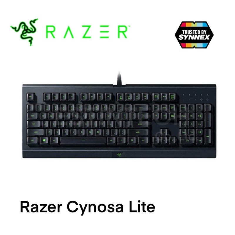 ac Keyboard (คีย์บอร์ด) RAZER Cynosa Lite Essential Gaming Keyboard (TH/EN) ของใหม่ประกัน 2ปี