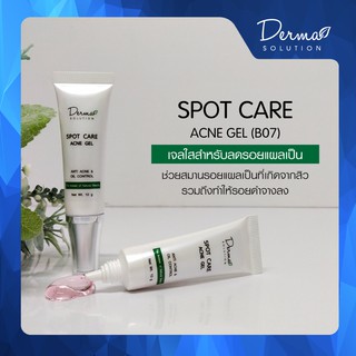 Spot Care Acne Gel (10 g) เจลใส สำหรับ หลุมสิว ลดรอยแผลเป็น- รอยแดง รอยดำ ที่เกิดจากสิว