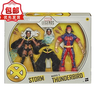 Hasbro ml Marvellegends ชุดตุ๊กตานกฟ้าทันเดอร์เบิร์ด X-Men ขยับได้ ขนาด 20 ซม.