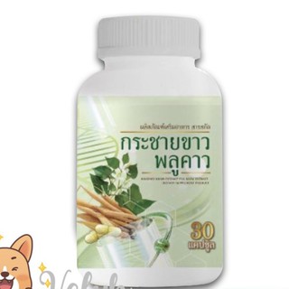 สินค้าพร้อมส่ง + ขายส่ง กระชายขาวสกัด สูตรเข้มข้นผสมสารสกัดพลูคาว สารสกัดกระชายขาวแท้ มี อ.ย. ถูกต้อง (ไม่ใช่แบบบดผง)