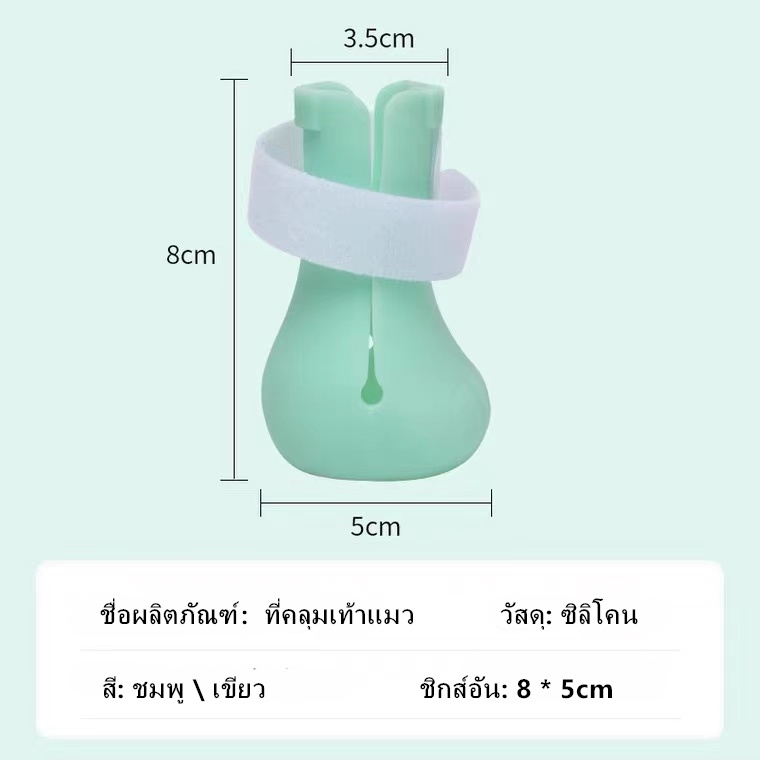 รูปภาพ 4