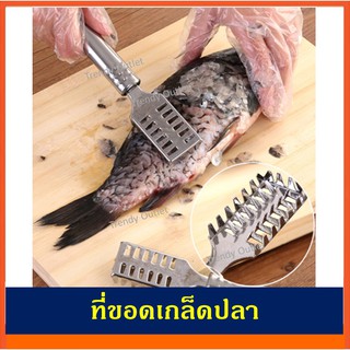 ขอดเกล็ดปลา ที่ขอดเกล็ดปลา ที่ขูดเกล็ด ปลา อุปกรณ์ขอดเกล็ดปลา Fish Scale Remover Scraper Scaling