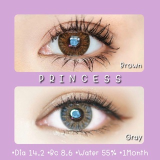 💚Princess-Brown•Gray☆สายตา 00-1000☆รายเดือน