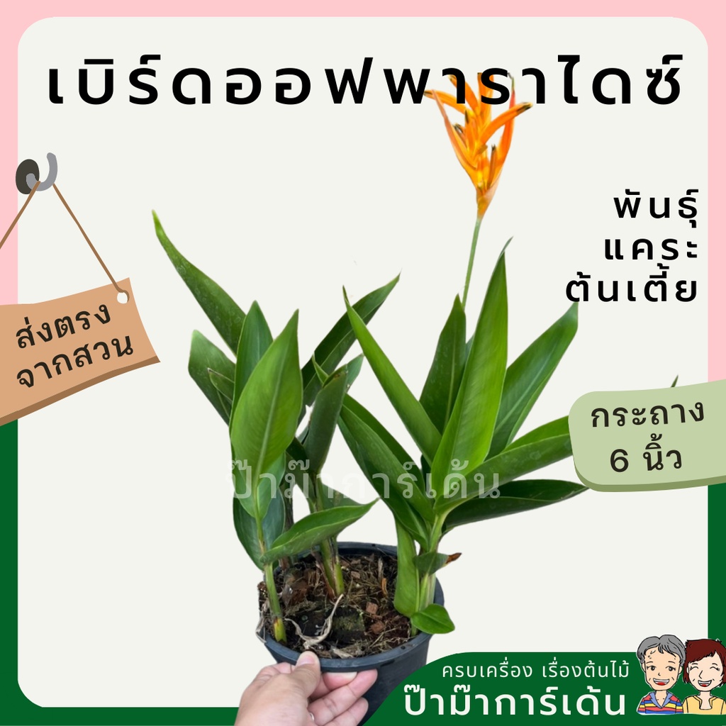 มุมมอง 5