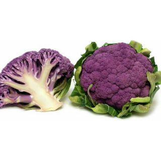 ดอกกระหล่ำม่วง purple cauliflower