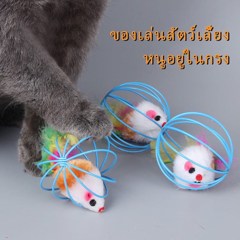 🐱FS🦮 ของเล่นแมวบอลกรงหนู ของเล่นสำหรับสัตว์เลี้ยง พกพาสะดวก ( คละสี ) Dog & Cat Toys