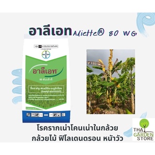 อาลีเอท80 ดับบลิวจี (Aliette® 80 WG) สารกำจัดเชื้อรารากเน่าโคนเน่าในไม้ผล ไม้ดอกไม้ประดับ