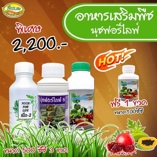 นุชฟอร์ไลฟ์1+นุช8+เน็ก2 ขนาด500ซีซี แถม 1 ขวด100ซีซี ปุ๋ยน้ำ/ฮอร์โมนพืช/อาหารเสริมพืช