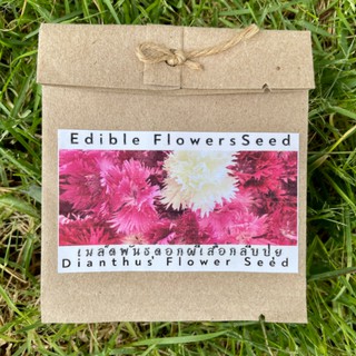 เมล็ดพันธ์ุดอกผีเสื้อกลีบปุย ดอกไม้กินได้ Dianthus seed edible flowers