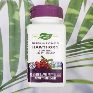 (Natures Way®) Premium Extract Hawthorn 300 mg 90 Vegan Capsules สมุนไพร ฮอว์ธอร์น