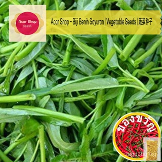 Water Spinach Seeds | Biji Benih KangKung | ผักบุ้งเมล็ด - 100 seeds男装/香菜/苹果/帽子/玫瑰/头饰/生菜/母婴/上衣/花园/ HYNU