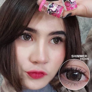 Shimmer brown (Wink lens) ขนาดBig (บิ๊กอาย คอนแทคเลนส์ ) (bigeyes)