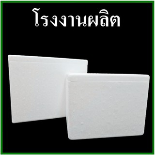 กล่องโฟม ลังโฟม สำหรับแพคสิ่งของที่ต้องรักษาอุณหภูมิ