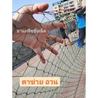 #ตาข่ายอเนกประสงค์ #Nylon Net 🅰️#ตาข่ายเชือก #ตาข่ายเชือกไนลอน 📌 มี 2 ขนาดให้เลือก