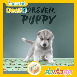 Forever Puppy แผ่นรองซับ แผ่นซับน้ำ รองฉี่ ซักเครื่องได้ สีขาวดำ และ สีเขียวมิ้นท์ สำหรับสัตว์เลี้ยง แบบ 3 ชั้น