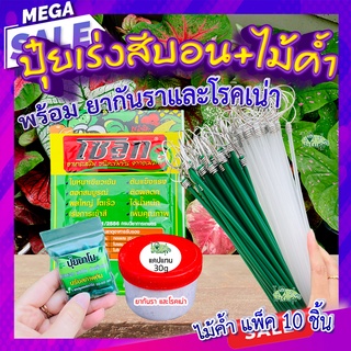 สารเร่งสีไม้ด่าง+กันรา+ไม้ค้ำ🍃 ปุ๋ยเร่งสีบอน เงินไหล สีสวย สีเข้ม ใบเงา ต้นแข็งแรง ป้องกันกำจัดเชื้อรา โรคเน่า ใช้ได้ทุก