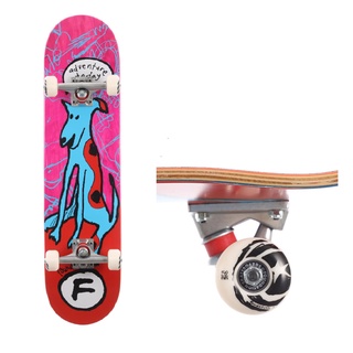 Foundation | 7.75" Adventure 2020 Complete Skateboard