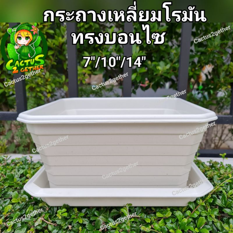 ถูกและหนา‼️กระถางเหลี่ยมโรมันทรงบอนไซ(ทรงเตี้ย)มีขา หนา7"/10"/14" ❌️ไม่รวมจานจานขายแยกค่ะ❌️ สีขาวครีม/เทา/ดำ/อิฐ