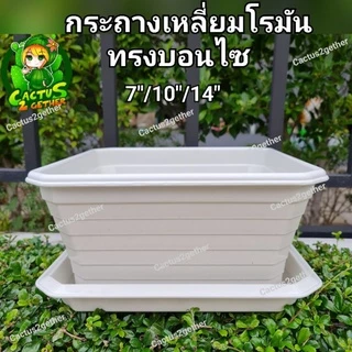 ถูกและหนา‼️กระถางเหลี่ยมโรมันทรงบอนไซ(ทรงเตี้ย)มีขา หนา7"/10"/14" ❌️ไม่รวมจานจานขายแยกค่ะ❌️ สีขาวครีม/เทา/ดำ/อิฐ