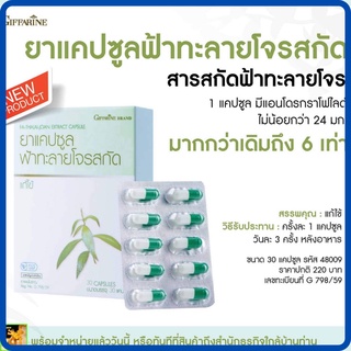 ฟ้าทะลายโจรสกัดเข้มข้น แคปซูล กิฟฟารีน|FA-THALAI-JOAN EXTRACT CAPSULE Giffarine|มีปริมาณแอนโดรกราโฟไลด์ไม่ต่ำกว่า 24 มก