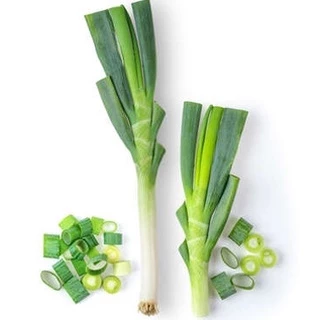 หอมญี่ปุ่นยักษ์📌ถูกที่สุด 10 บ.📌เมล็ดพันธุ์หอมญี่ปุ่นยักษ์ 40 เมล็ด👉 ☘️งอกง่าย🌱 ขึ้นไว👉ต้นใหญ่ยักษ์