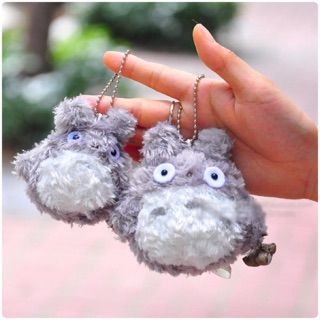 พกจ. totoro