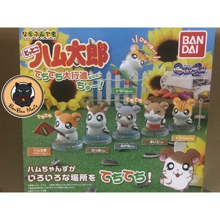 Gachapon Hamtarou Narabundesu てちてち set