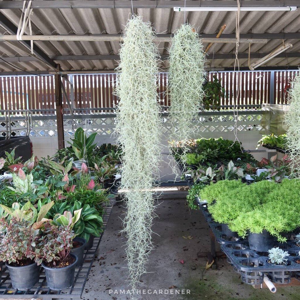 มุมมอง 2