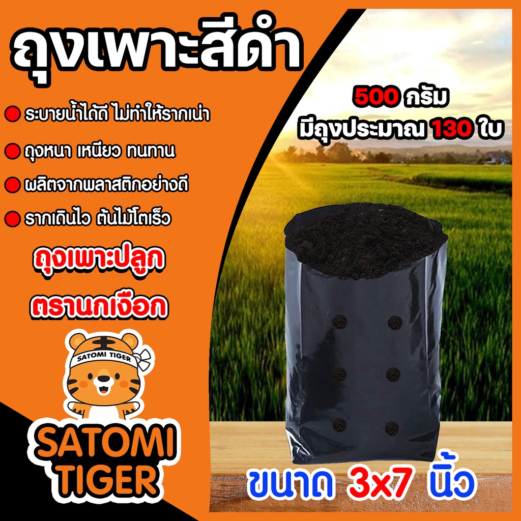 ถุงเพาะกล้า มีให้เลือก 4 ขนาด หนัก 500 กรัม ถุงดำปลูกเพาะชำต้นไม้