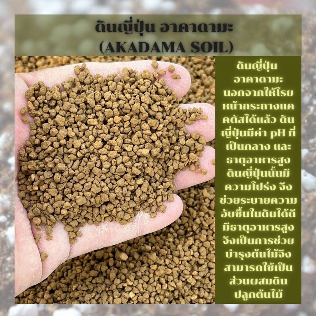 ดินญี่ปุ่น อาคาดามะ (AKADAMA SOIL) แบ่งบรรจุ 1 กก.
