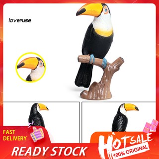 Simulation Toucan Bird Parrot Animal Model Figurine Home Garden Decor Kids Toy ♧MXWJ♧