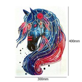 ภาพครอสติสคริสตัลSpecial Shaped  รูป  Horse