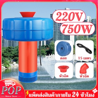 POP Motor Store ปั้มน้ำพุโซล่าเซลล์ ปั้มน้ำออกซิเจนลอยน้ำ ปั้มออกซิเจนเพาะเลี้ยงสัตว์น้ำ ปั้มน้ำแนวนอน และสามารถแปลงเป็น