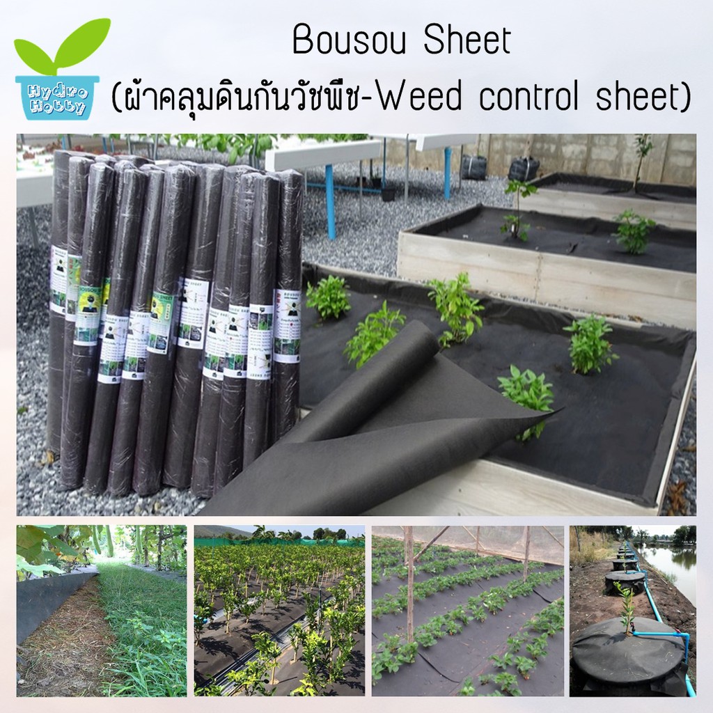 Bousou Sheet™ (ผ้าคลุมดินกันวัชพืช-Weed control sheet) ขนาด 1x100 เมตร