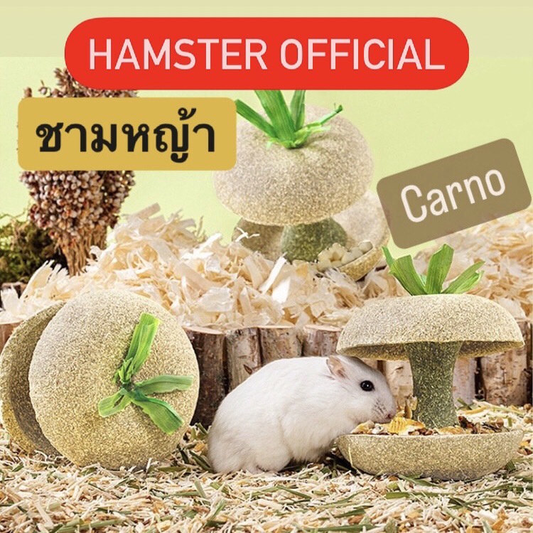 ส่งไว🥕ขนม ของเล่นลับฟันหญ้าทิม แฮมเตอร์ กระต่าย แกสบี้ กระรอก ชูก้าร์ แฮมสเตอร์ สัตว์เล็ก แอปเปิ้ล  Hamster Official