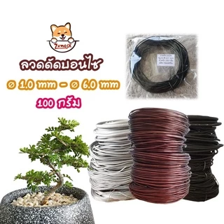 ถูกที่สุด ลวดดัดบอนไซ 100 กรัม ⌀1mm-6mm เหนียว ยืดหยุ่น ไม่เป็นสนิม ลวดอลูมิเนียม Bonsai Wire ZumoIX