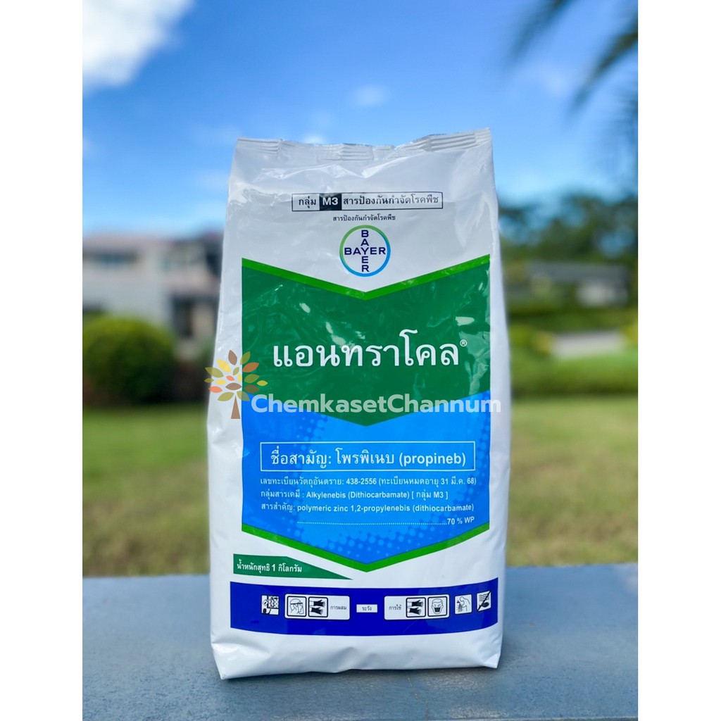 แอนทราโคล-โพรพิเนบ 70% WP- ขนาดบรรจุ 1 กิโลกรัม ✅ สินค้าผลิตใหม่ ของแท้แน่นอน 💯