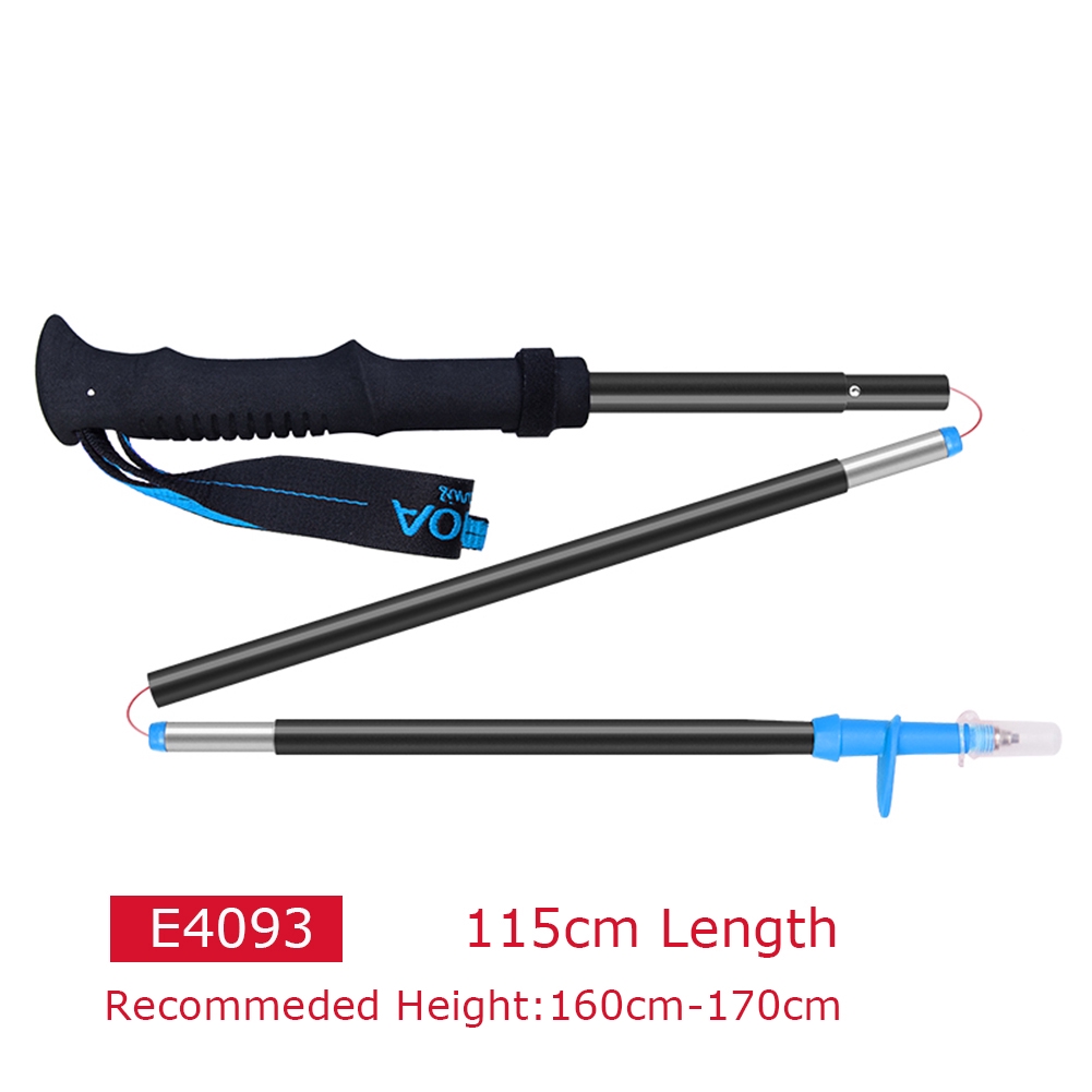 nordictrack walking sticks