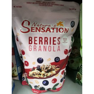 เนเจอร์เซ็นเซชั่นเบอร์รี่ 454กรัม Nilutgs Sensation Berries 454g