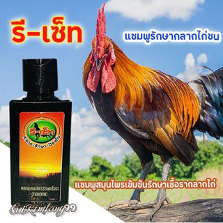 แชมพูรีเซ็ท แชมพูรั ก ษ า กลากไก่ชน รีเซ็ท แชมพูสมุนไพรเข้มข้น รั ก ษ า เชื้อรา