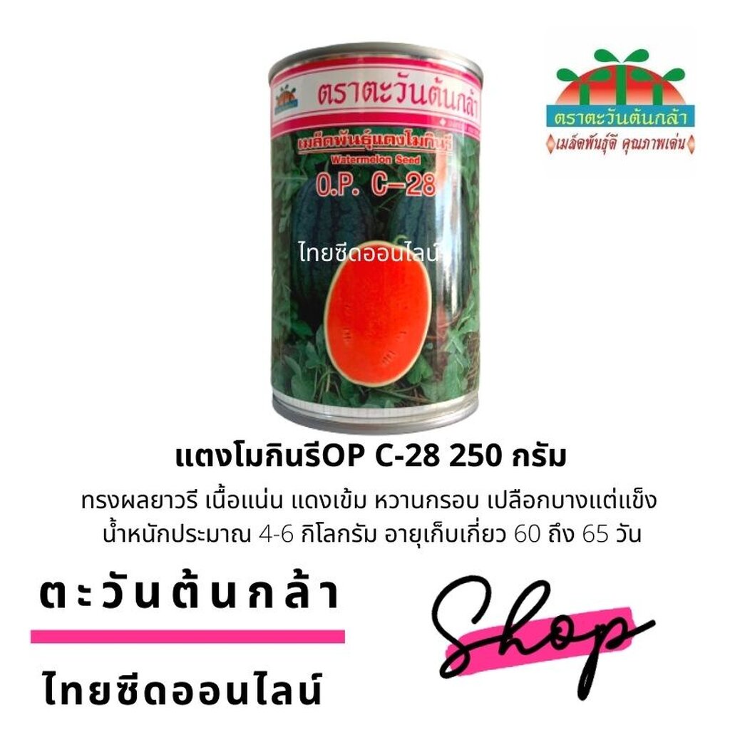 ADV Exp. 2/70 กป 250กรัม เมล็ดพันธุ์ แตงโมกินรี OP C-28 ตราตะวันต้นกล้า Watermelon ราคา ถูกที่สุด ดีลบีเคเค แกลเลอรีภาพที่ 2