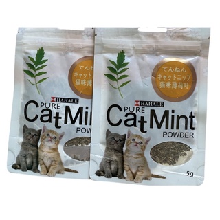 กัญชาแมวCatMintกัญชาแมว