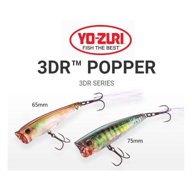 Yo Zuri Duel 三维R Popper Topwater เหยื่อตกปลาลอยน้ํา 65 มม. / 75 มม.