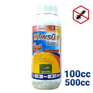 💥ฟิโพรนิล💥 100/500cc กำจัดปลวก ฆ่าปลวก ฆ่าเห็บ เพลี้ยไฟ หนอนกอ หนอนม้วนใบ ด้วงหมัดผัก ยาฆ่าปลวก ยากำจัดปลวก แอสเซนด์ 5%