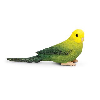 Safari Ltd. : SFR150429 โมเดลสัตว์ Green Budgie